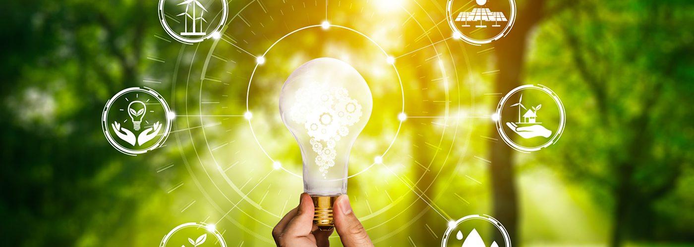 Die „grüne“ Transformation gestalten: Investitionen in nachhaltige Technologien