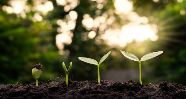 Individuelle Begleitung bei der nachhaltigen Transformation Individuelle Begleitung bei der nachhaltigen Transformation