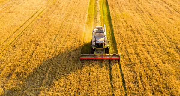 Teaser Agrarwirtschaft.png