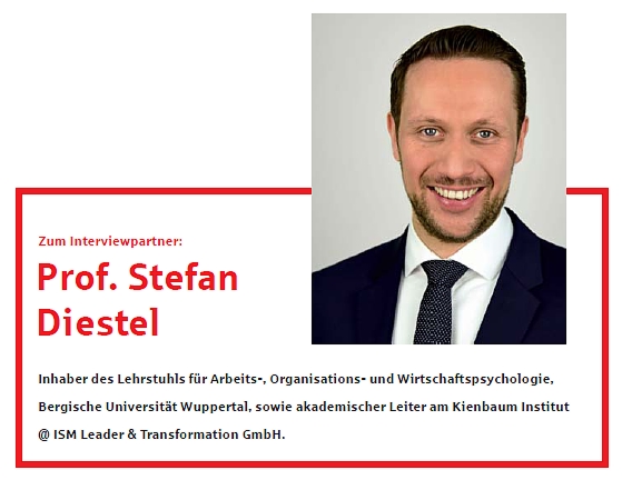 Professor Stefan Diestel