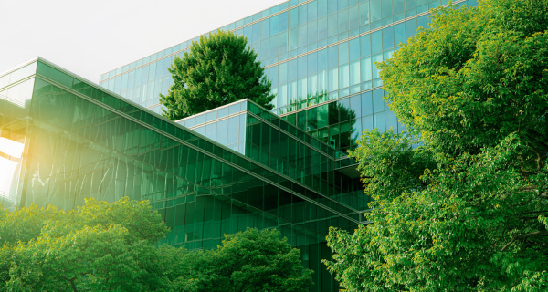 Wie Mittelst&auml;ndler die neuen Nachhaltigkeits-Regeln als Wettbewerbsvorteil nutzen k&ouml;nnen