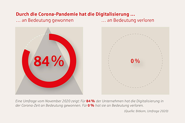 Bitkom, Umfrage 2020