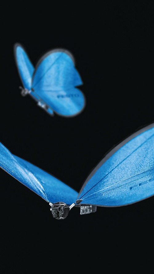 Natur auf Technik übertragen