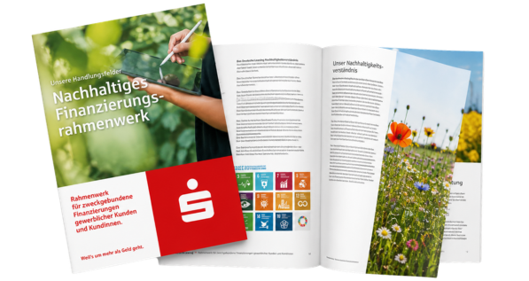 Das Rahmenwerk Sustainable Finance Framework Sustainable Finance Framework der Sparkassen Finanzgruppe