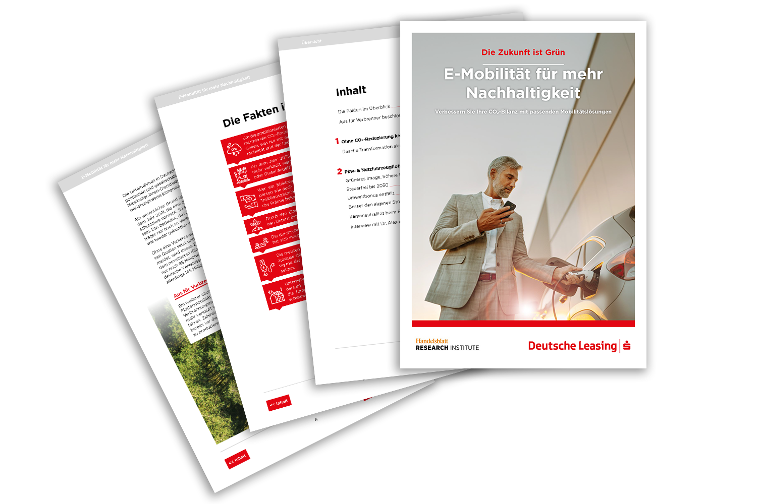 DL_Mobility_360Grad_Störerbild_PlaybookSeiten.png