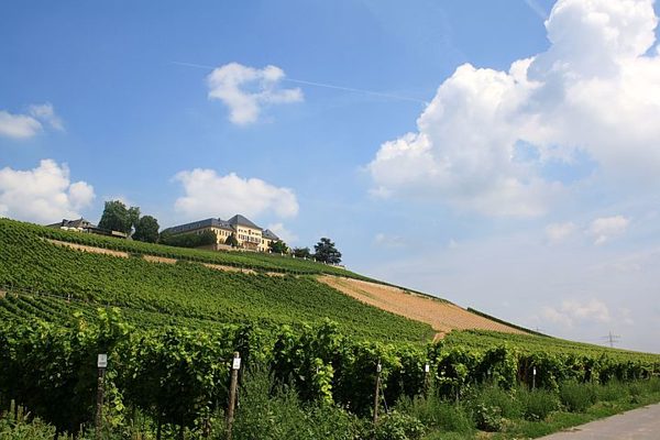 Rheingau Musik Festival